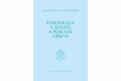 Synodalita v životě a poslání církve