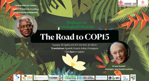 Postřehy k webináři o biodiverzitě s názvem The Road to COP15 (J. Vacíková)