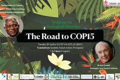 Postřehy k webináři o biodiverzitě s názvem The Road to COP15 (J. Vacíková)