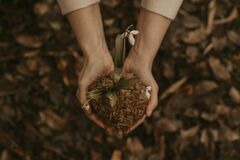 Buď pochválen, můj Pane… Zastavení nad encyklikou Laudato si´